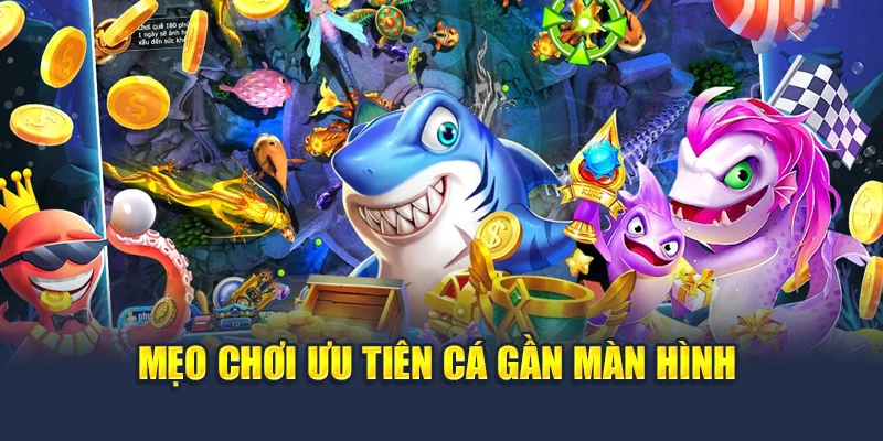 Mẹo chơi ưu tiên cá gần màn hình